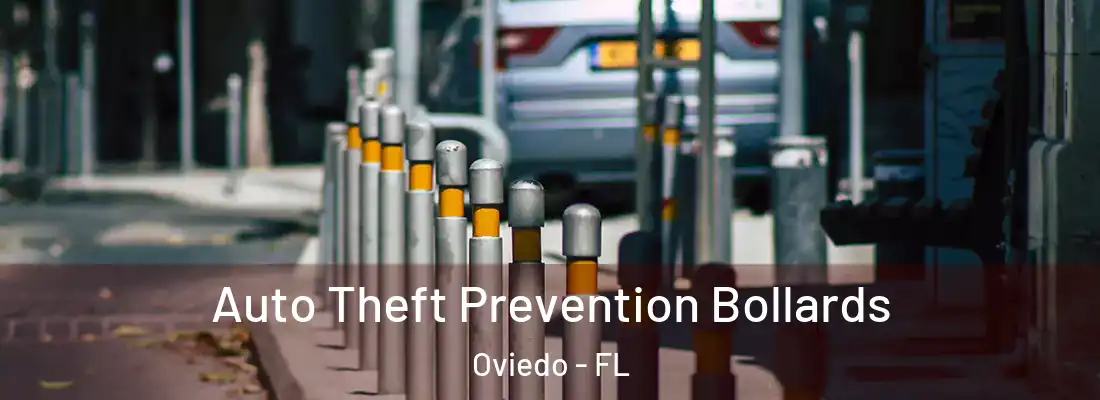 Auto Theft Prevention Bollards Oviedo - FL