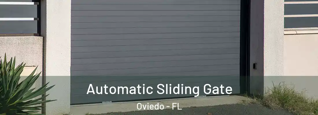  Automatic Sliding Gate Oviedo - FL