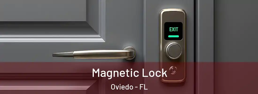 Magnetic Lock Oviedo - FL